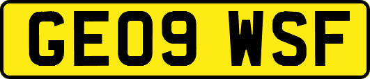 GE09WSF