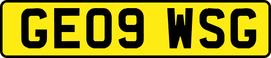 GE09WSG