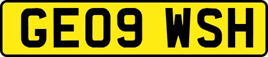 GE09WSH