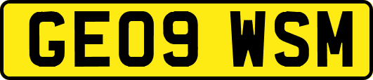 GE09WSM