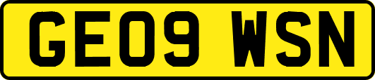 GE09WSN