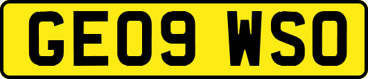 GE09WSO