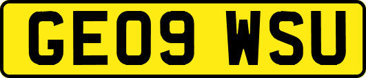 GE09WSU