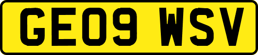 GE09WSV