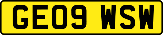 GE09WSW