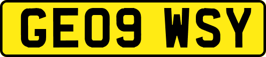 GE09WSY