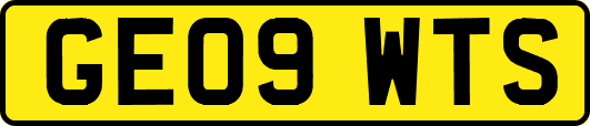 GE09WTS