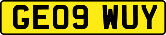 GE09WUY