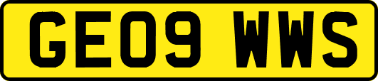 GE09WWS