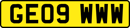 GE09WWW