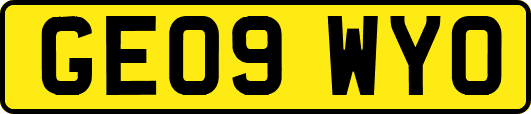 GE09WYO