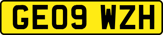 GE09WZH