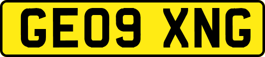 GE09XNG