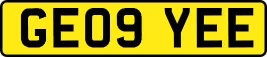 GE09YEE