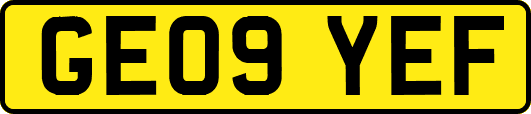 GE09YEF