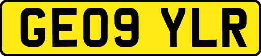 GE09YLR