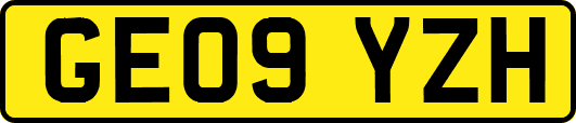 GE09YZH