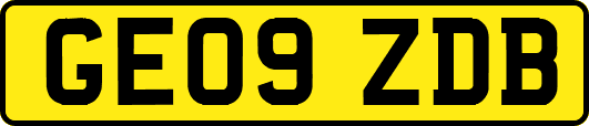 GE09ZDB