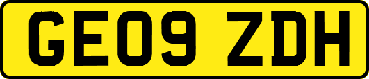 GE09ZDH