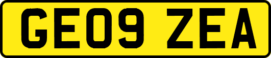 GE09ZEA