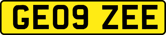 GE09ZEE