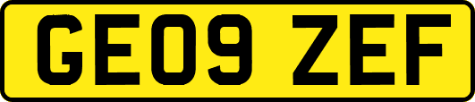 GE09ZEF