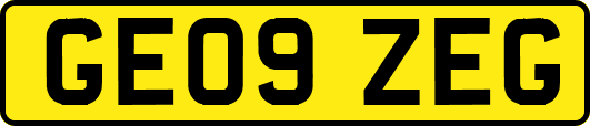 GE09ZEG