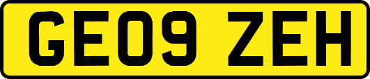 GE09ZEH