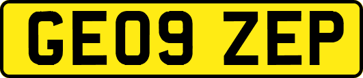 GE09ZEP