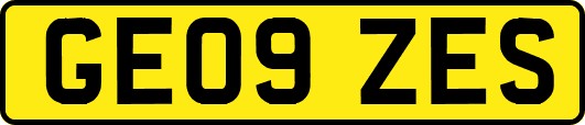 GE09ZES