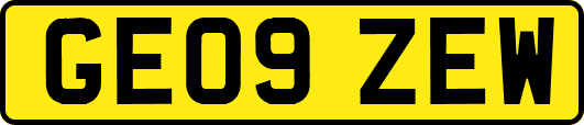 GE09ZEW