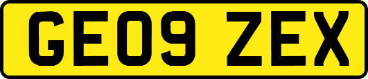 GE09ZEX