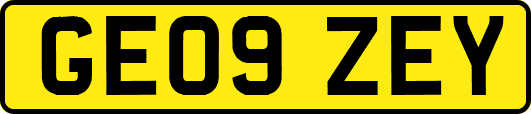 GE09ZEY