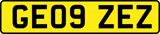 GE09ZEZ