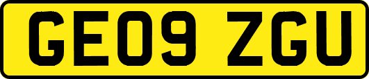 GE09ZGU