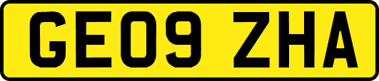 GE09ZHA