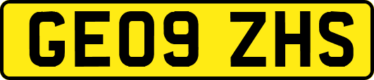 GE09ZHS