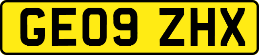 GE09ZHX