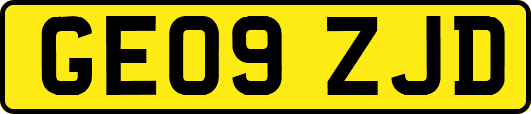 GE09ZJD