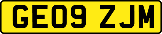 GE09ZJM