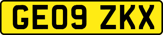GE09ZKX