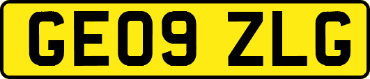 GE09ZLG