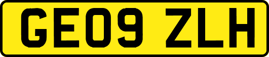 GE09ZLH