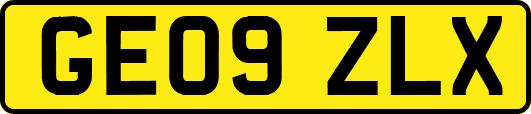 GE09ZLX