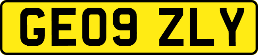 GE09ZLY