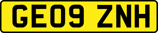 GE09ZNH