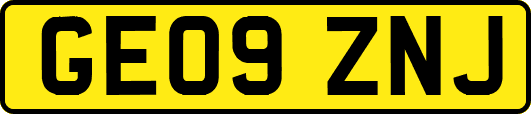 GE09ZNJ