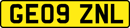 GE09ZNL