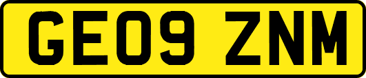 GE09ZNM