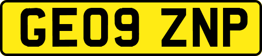 GE09ZNP